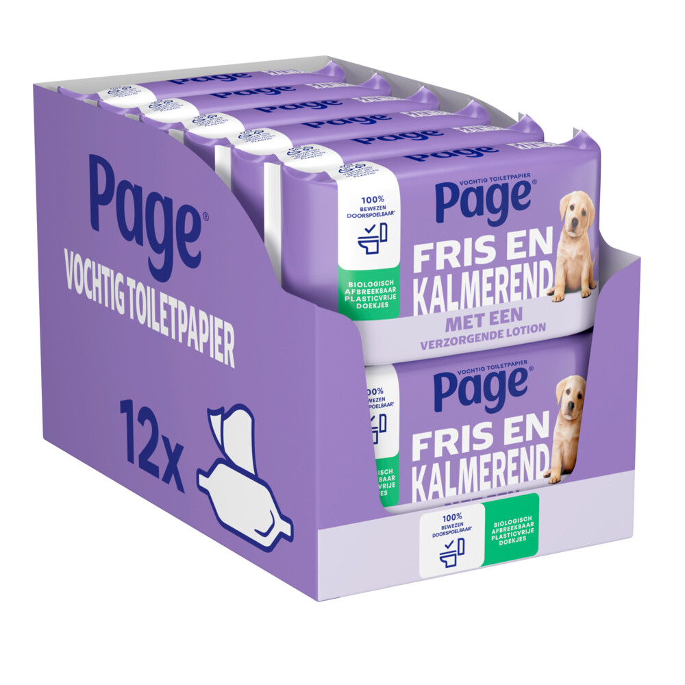 Product afbeelding van Page vochtig toiletpapier Care - 456 velletjes (12 x 38)